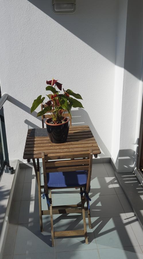 Jardim Das Madalenas Funchal  Exteriér fotografie